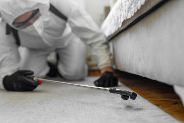 Professional Termite Control technician working in Quitman, TX