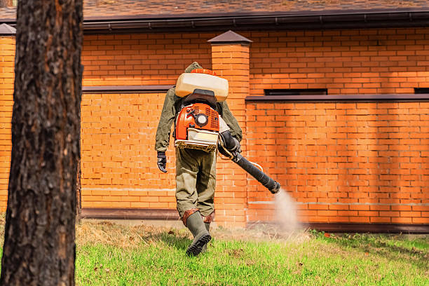 Top rated local Termite Control specialists in Quitman, TX
